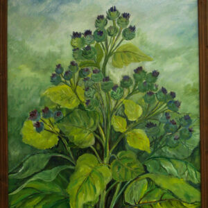 Obraz "Osty" Wanda Szwegler