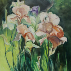 Obraz "Zebrzydowice-Irysy" Jadwiga Bajger