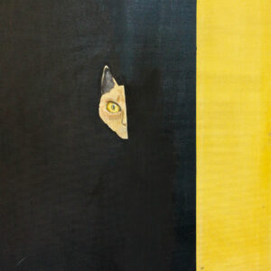 Obraz "Kot" Bartosz Kawiak