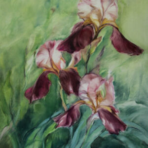 Obraz "Irysy" Jadwiga Bajger